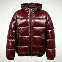 Nouvelle Veste d'Hiver Rembourrée en Coton pour Femme, Grande Taille, Brillante, Chaude, à Capuche et Zippée, Haut de Gamme, pour l'Hiver 2026, Idéale pour les Températures Négatives