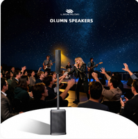 Système de sonorisation colonne active 600W RMS DSP Classe D en plastique, alimenté, pour concerts en extérieur, événements religieux - Fournisseur d'usine