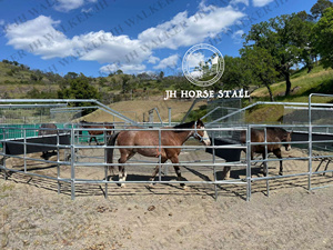 Orbe Alker chubasquero orses ealth Trong achine <span class=keywords><strong>Horse</strong></span> para hacer ejercicio con valla y techo - Product Image 2