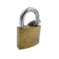 50mm en laiton couleur or titane peint électronique plaqué couleur or timbre marque cylindre en laiton fer cadenas