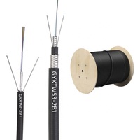 Câble à fibres optiques aérien 2 4 6 8 12 24 cœurs Monomode G652D Câble à fibres optiques blindé Extérieur GYXTW