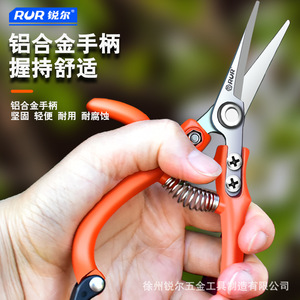 RUR Fruit Picker Pruning Shears 10-20 Mm Stainless Steel Butterfly Design For Pruning Fruit Trees - Product Image 2