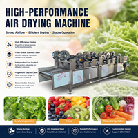 Machine de séchage par flux d'air pour fruits de mer et baies, déshydrateur automatique à soufflerie d'air pour snacks et aliments frais après nettoyage