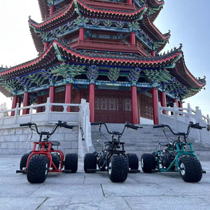 Mini-tricycle <span class=keywords><strong>motorisé</strong></span> rapide pour adultes, 212cc, quatre temps, à essence, tout-terrain, personnalisé, en gros de Chine, en stock à vendre - Product Image 4