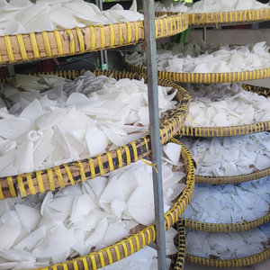 Viande de noix de coco séchée du Vietnam de haute qualité, collation naturelle, approvisionnement en vrac abordable, exportation - Product Image 1