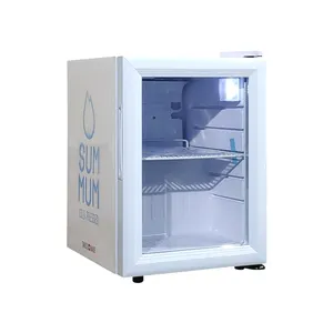 Letida — mini-réfrigérateur électrique professionnel 21l, en métal, présentoir pour boissons au lait, pour utilisation en magasin
