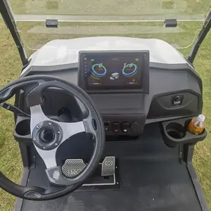 Satılık benzinli motor ile EPA sertifikalı gaz powered 6 yolcu golf arabası/benzinli güç ile 6 kişilik kulüp araba golf arabası