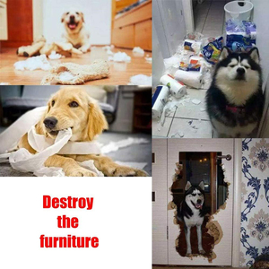 Toptan özel Polar Polar keçe Pet köpek yavaş besleme snumat Mat Pet snubesleme matı köpek bulmaca oyuncak - Product Image 4