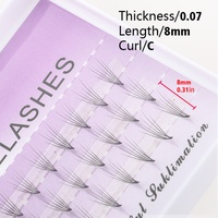 Cils en éventail pré-faits 6D faits à la main, 3 rangées par boîte, épaisseur 0,07 mm, courbure C, longueur 8-13 mm, matière PBT soyeuse, cils individuels