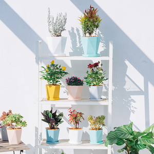 Offre Spéciale Pots de fleurs en plastique de conception classique en gros pour la décoration de beauté de jardin et l'état de plancher d'utilisation de centre commercial - Product Image 6
