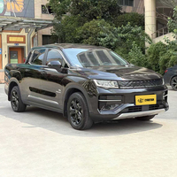 Geely Riddara RD6 Creator Edition 2023 Listrik Murni Jarak Tempuh 550KM Pikap Ringan 5-Kursi Radar RD6 Mobil Bekas Murah