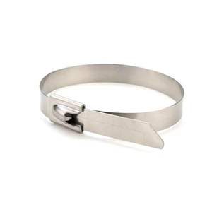 بيع من المصنع مباشرة جودة عالية ، جودة عالية/، قفل كروي ، ربطة كابل معدني من الفولاذ المقاوم للصدأ ، ربطة كابل ربط ، ربطات بسحاب - Product Image 4