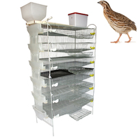 Meilleures ventes : Cage à cailles en plastique avec mangeoire, Cage à cailles à vendre aux Philippines, Cage commerciale pour cailles pondeuses