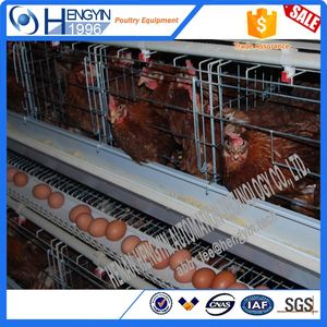 Nouvelle <span class=keywords><strong>promotion</strong></span> cage à poulets/poulaillers d'occasion équipement agricole cage à poulets de chair - Product Image 4