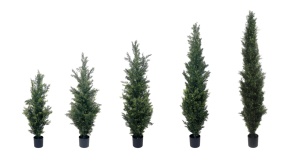 Albero <span class=keywords><strong>di</strong></span> Cedro o Cipresso Artificiale Personalizzato Anti-UV per Decorazione Interna ed Esterna, <span class=keywords><strong>Bonsai</strong></span> Finto in Plastica per Casa e Giardino - Product Image 5