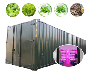Contenedor de 40 Pies para Cultivo Inteligente de <span class=keywords><strong>Hongos</strong></span>, Contenedor Automático para Cultivo de <span class=keywords><strong>Hongos</strong></span>, Granja Comercial de <span class=keywords><strong>Hongos</strong></span>, Individual, PE - Product Image 3