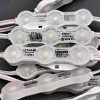 Module LED extérieur IP68 DC12V 24V 1.5w 69*15MM SMD 2835 3LEDs Lumière blanche froide Boîte d'injection de lumière LED pour enseignes publicitaires