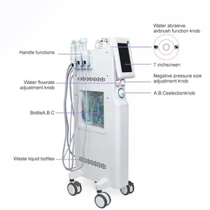 2024 Deep Cleaning Professional 6 In 1 hydrafacials machine