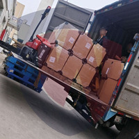 Agente de Inspección de Abastecimiento de Proveedores Bluesign, Transitario de Carga Aérea y Marítima DDP, Servicio de Consolidación de Carga