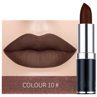 Maquillage de rouge à lèvres de bâton NUDE hydratant imperméable à haute brillance