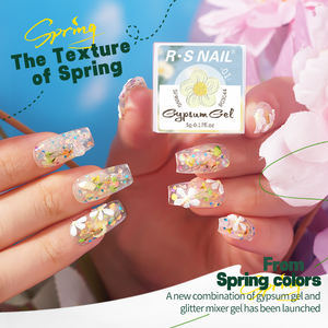 R S ongles japonais Art fournitures 5g mélangeur Gel <span class=keywords><strong>dessin</strong></span> Gel ongles plâtre effet 3D sable Texture gypse Gel - Product Image 2