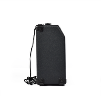 Amplificateur de guitare électrique Deviser Wholesale 15W TG-15 pour spectacle musical