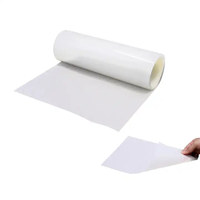 Film Diffuseur en Polycarbonate Rina-Tech 0,1 mm, Feuille de Laminage Holographique, Plaque de Coulée en Plastique Transparent A4 pour Écran LED