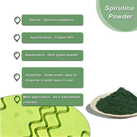 Poudre de spiruline naturelle de qualité alimentaire, colorant végétal, extrait de plante, colorant vert, fourni par une usine chinoise