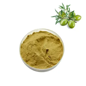 Olijfblad Extract 10%-70% Oleuropeine 3%-50% Hydroxytyrosol