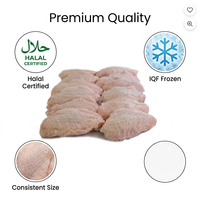 Alas de Pollo Halal Congeladas al por Mayor, IQF para Exportación, Carne de Aves de Corral de Primera Calidad, Suministro de Fábrica
