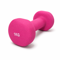 Haltère en PVC givré de 1 kg - Haltère en fonte antidérapant pour entraînement aérobie à domicile, fournisseur en gros de marques privées