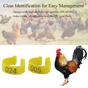 Bagues d'identification pour oiseaux en plastique, durables et légères, pour pigeons et petits oiseaux - Product Image 5