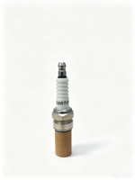 Vente en gros de bougies d'allumage TORCH D8RTIP Iridium Platinum pour moto, pièces détachées pour moteur, remplacement de DPR8EA 9, D8RTC, DR8EIX