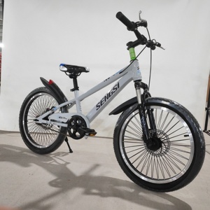 Bicicletta per Bambini a Singola Velocità a Basso Prezzo, Piccola Mountain Bike con Forcella Ammortizzata - Product Image 2