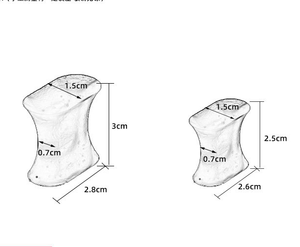 Pemisah Gel perawatan kaki <span class=keywords><strong>Pro</strong></span> <span class=keywords><strong>Fixator</strong></span> pelindung Toecap depan dan sol sepatu korektor Hallux Valgus dan penyangga lengkungan - Product Image 4