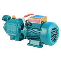 Pompe auto-amorçante domestique 220V à vis, haute pression, pour aspiration de puits et alimentation en eau domestique