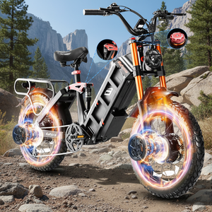 E-bike Eahora Juliet Pro 2 250W 52V con Motore Centrale per Adulti, Pneumatici Fat per una Guida Fluida, Batteria al Litio per Prestazioni a Lunga Autonomia - Product Image 2