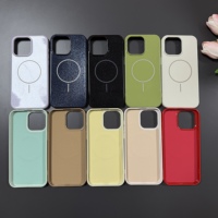 Vente en gros de coques magnétiques colorées personnalisées pour iPhone 15 Pro Max 16 14plus 13 12 11, coque arrière souple