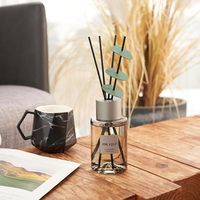 Nouveau Design Parfum Parfum Diffuseur Bouteille Vide Maison Arôme Reed diffuseur bouteille en verre