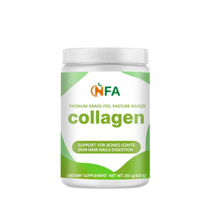 Poudre de Collagène à Prix de Gros avec Collagène Bovin Hydrolysé pour des Articulations Saines et Souples - Product Image 1
