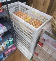 Caisse de rangement pour œufs en plastique pliable avec design en maille, caisse de transport en plastique ventilée pliable