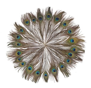 Peacock lông nhuộm Mô Hình DIY Wedding party Carnival trang trí nội thất Nguồn cung cấp nghệ thuật bán buôn - Product Image 3
