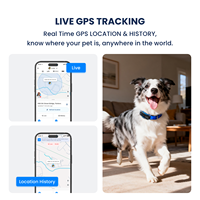Dispositif de localisation GPS 4G intelligent pour la surveillance de la santé des animaux de compagnie, avec suivi en temps réel et IA, étanche en plastique et silicone