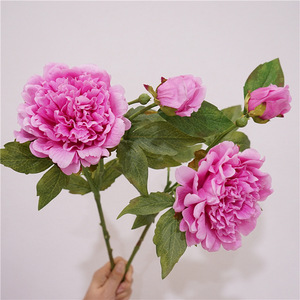 BF-PY03 <span class=keywords><strong>Bloom</strong></span> Floral, pivoines artificielles de haute qualité à 2 têtes, toucher réaliste, grande tête, latex, faux pivoine blanche et rose pour la décoration - Product Image 3