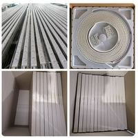Tira de LED RGBW Flexible para Exteriores con Clasificación IP68, Resistente al Agua, para Pared, con Código DMX512 Programable, Cambio de Color, 5 Metros por Pieza