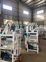 Grande machine intelligente de classement des grains de riz de semence entièrement automatique élimination des impuretés et dépoussiérage équipement propre pour les grains