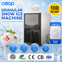 Machine à glace granulée en vrac 100 kg/jour avec certification CE, RoHS et logo OEM pour importateurs et acheteurs professionnels à l'étranger