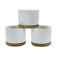 Petit pot à fleurs en porcelaine blanche céramique vierge pour sublimation, idéal pour plantes succulentes, décoration de bureau, pour personnalisation DIY avec photo ou logo.