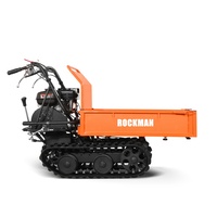 Mini Dumper sur chenilles à moteur essence 6,5 ch, capacité de charge utile de 300 kg, avec certification TUV CE