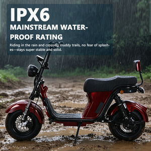 Scooter Eléctrico de 1550W con Entrega Rápida, Motocicleta de 2 Ruedas, Batería de Litio Extraíble de 48/60/20AH, Frenos de Disco para Adultos, Alta Velocidad - Product Image 4